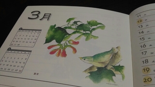 20161121115326159.jpg